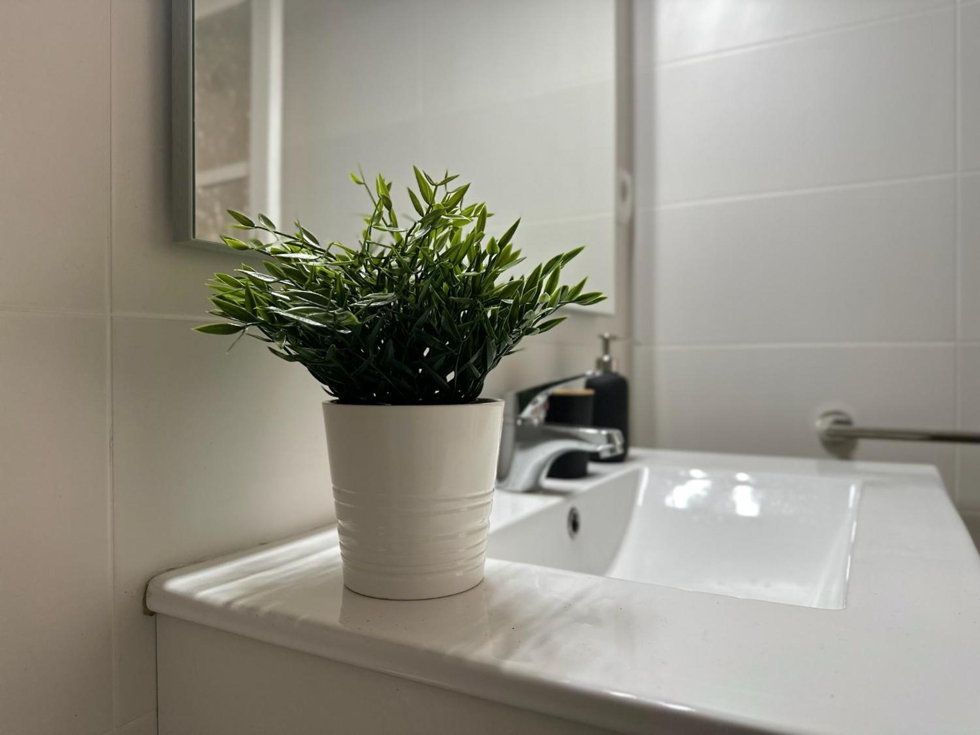 Apartamentos Vernia Онтеньенте Экстерьер фото